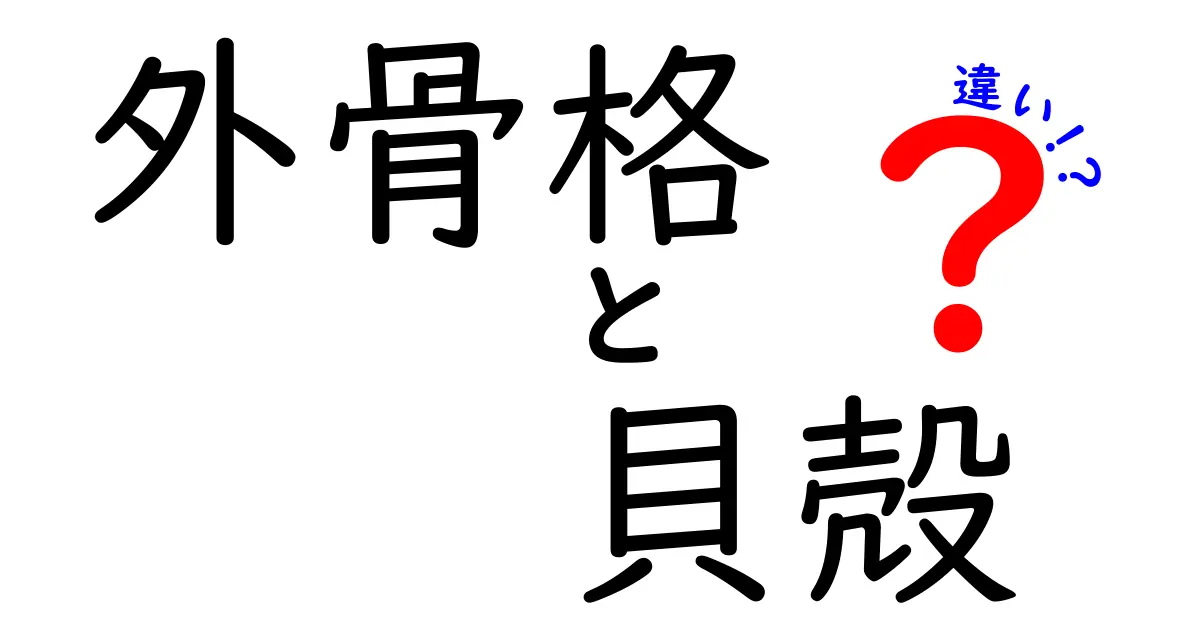 外骨格と貝殻の違いを徹底解説！あなたの疑問を解消