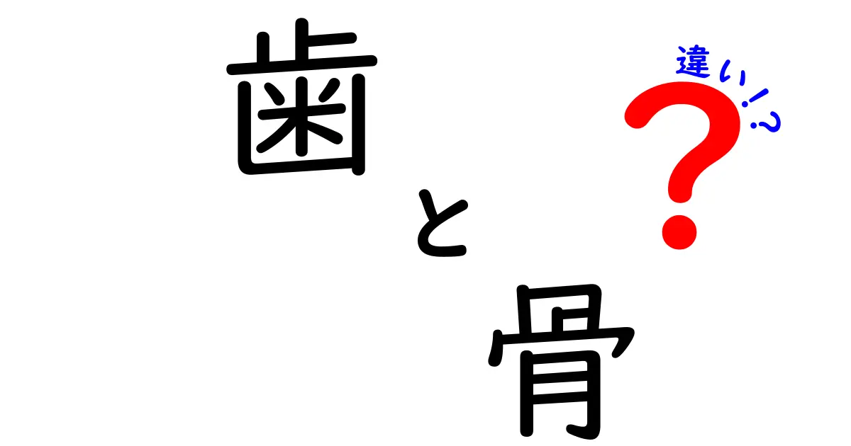 「歯」と「骨」の違いを徹底解説！意外と知らない体のパーツの秘密