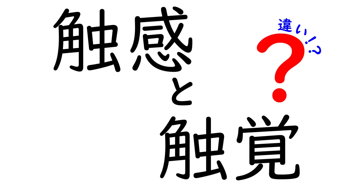 触感と触覚の違いを簡単に解説！あなたの感覚を深く知ろう