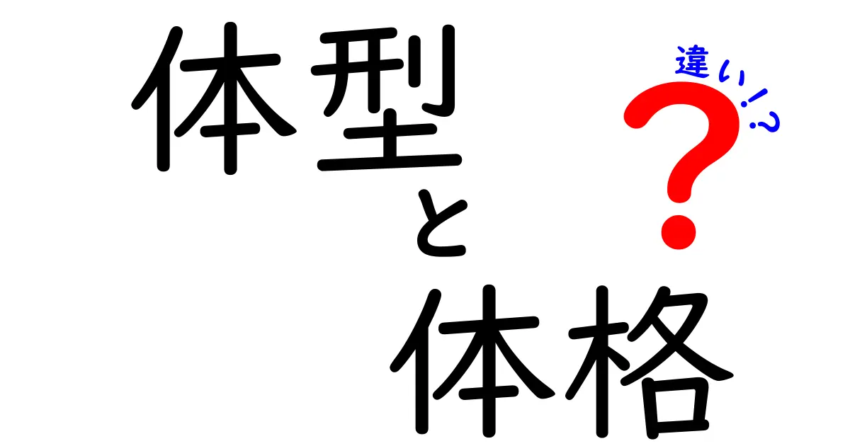 体型と体格の違いを徹底解説！あなたは知ってる？