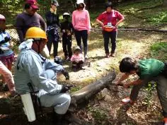 親子で楽しく参加する森林整備イベントを開催します!
