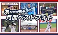 東京ヤクルトスワローズ「月間ベストフォト」5月の人気投票が始まりました！