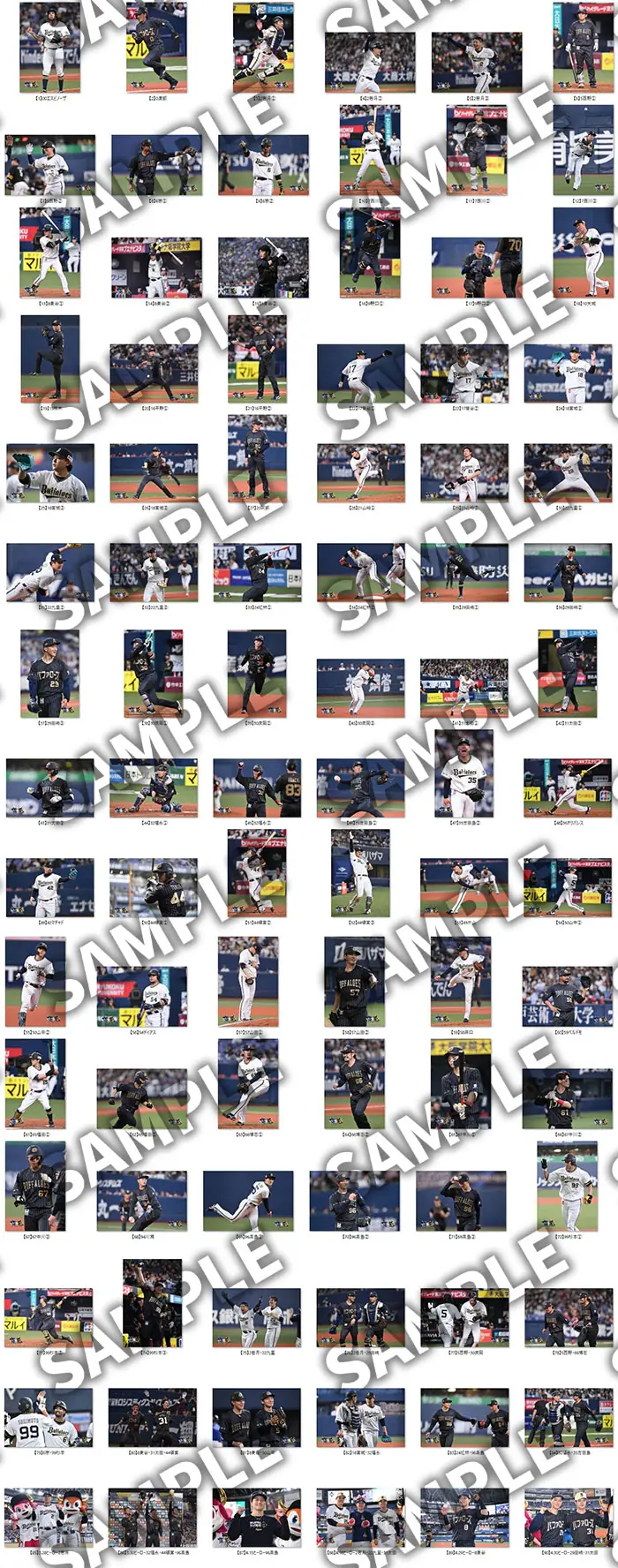 オリックス・バファローズのマンスリーフォトがオンライン受注開始！