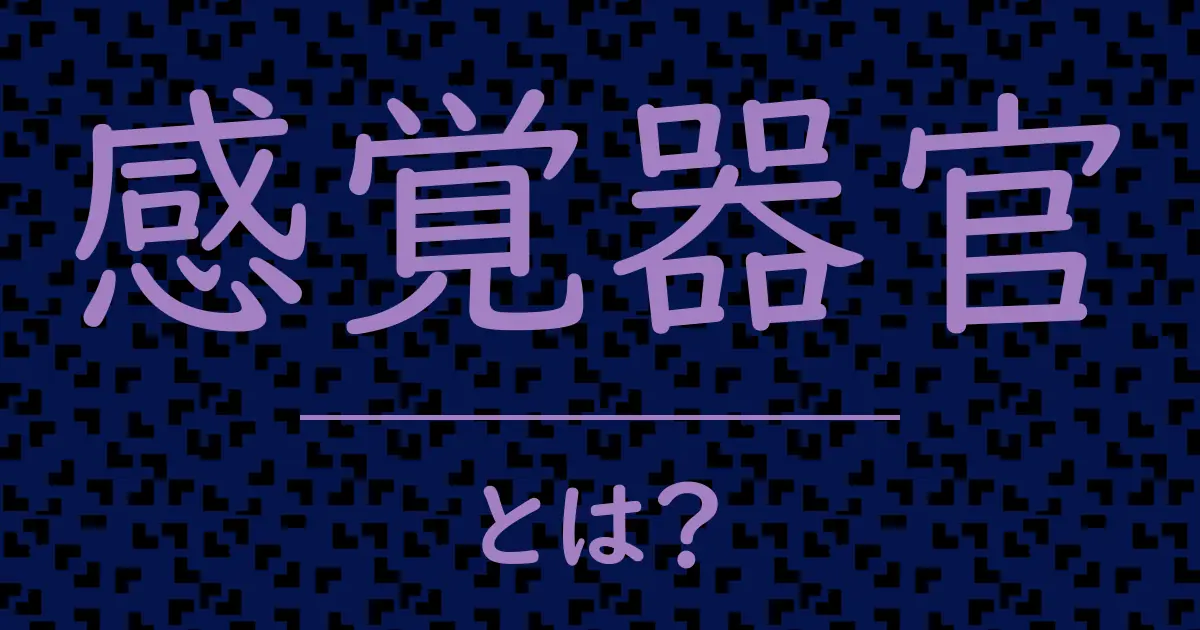 感覚器官とは?毒舌で解説!