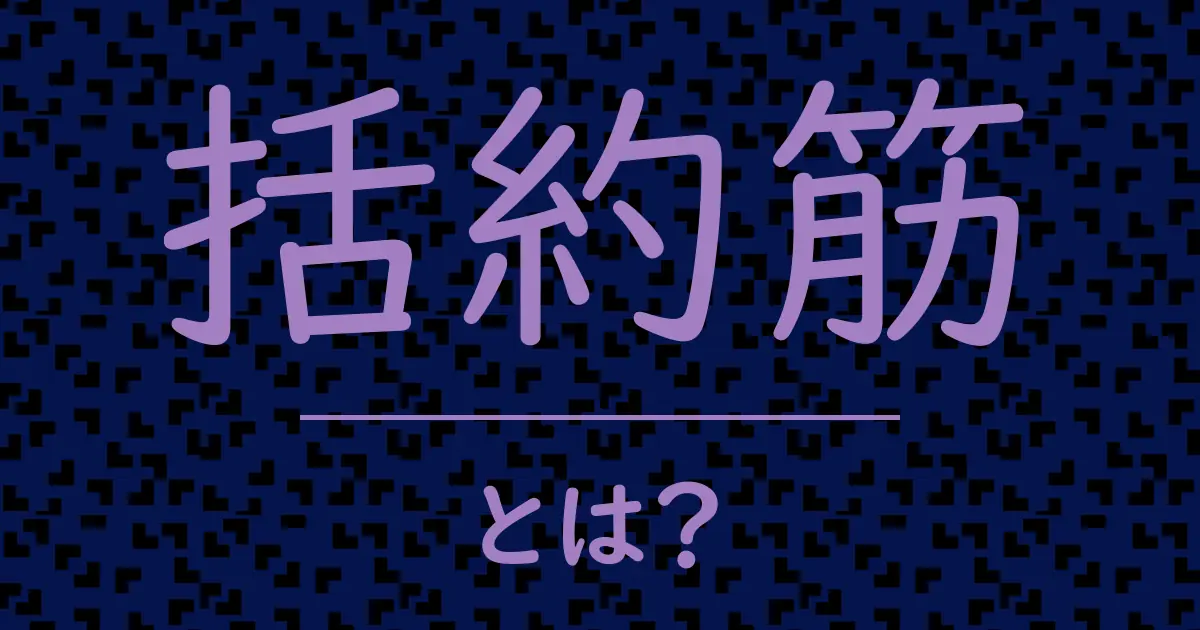 括約筋とは?毒舌で解説!