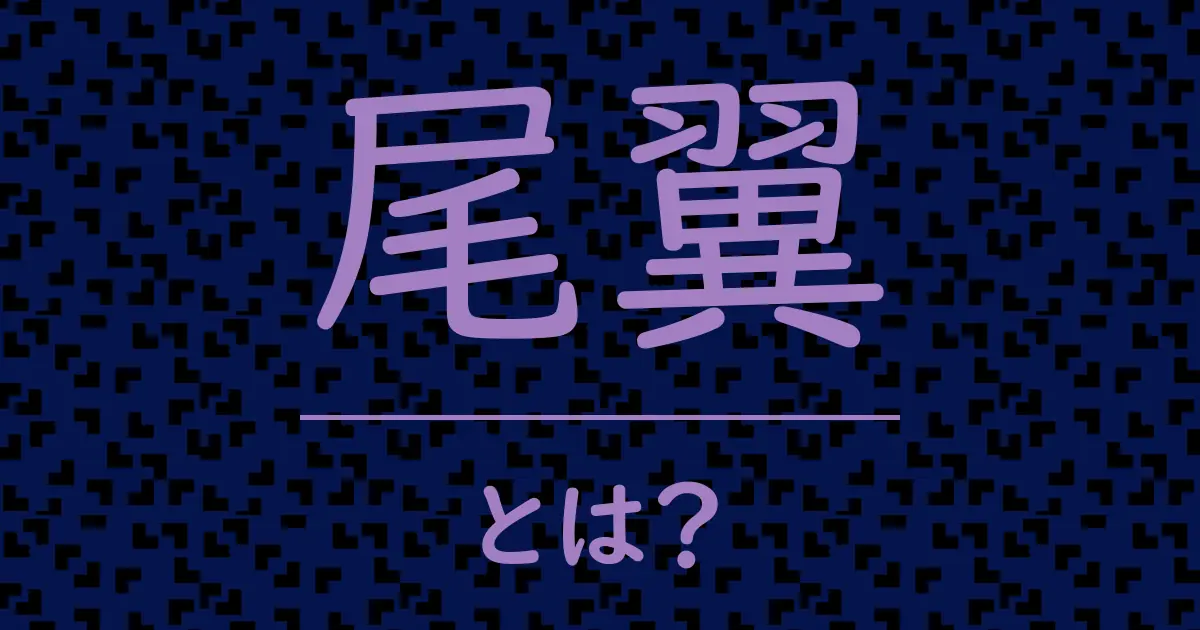 尾翼とは?毒舌で解説!