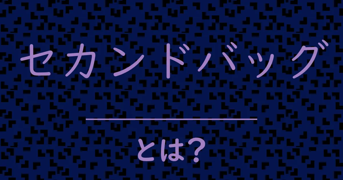 セカンドバッグとは?毒舌で解説!