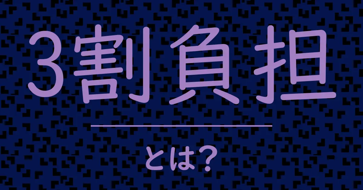 3割負担とは?毒舌で解説!