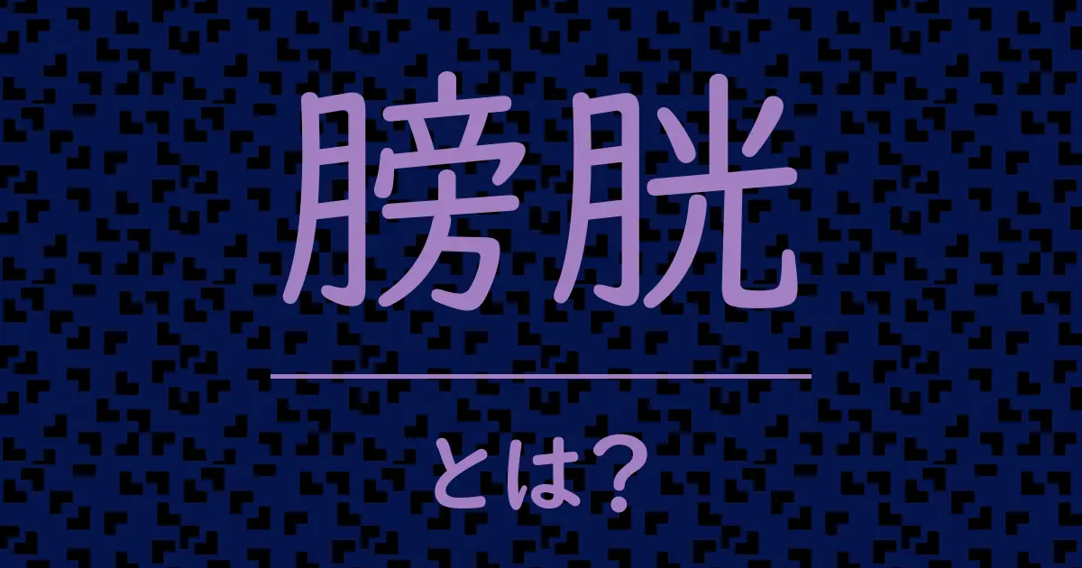 膀胱とは？毒舌で解説！