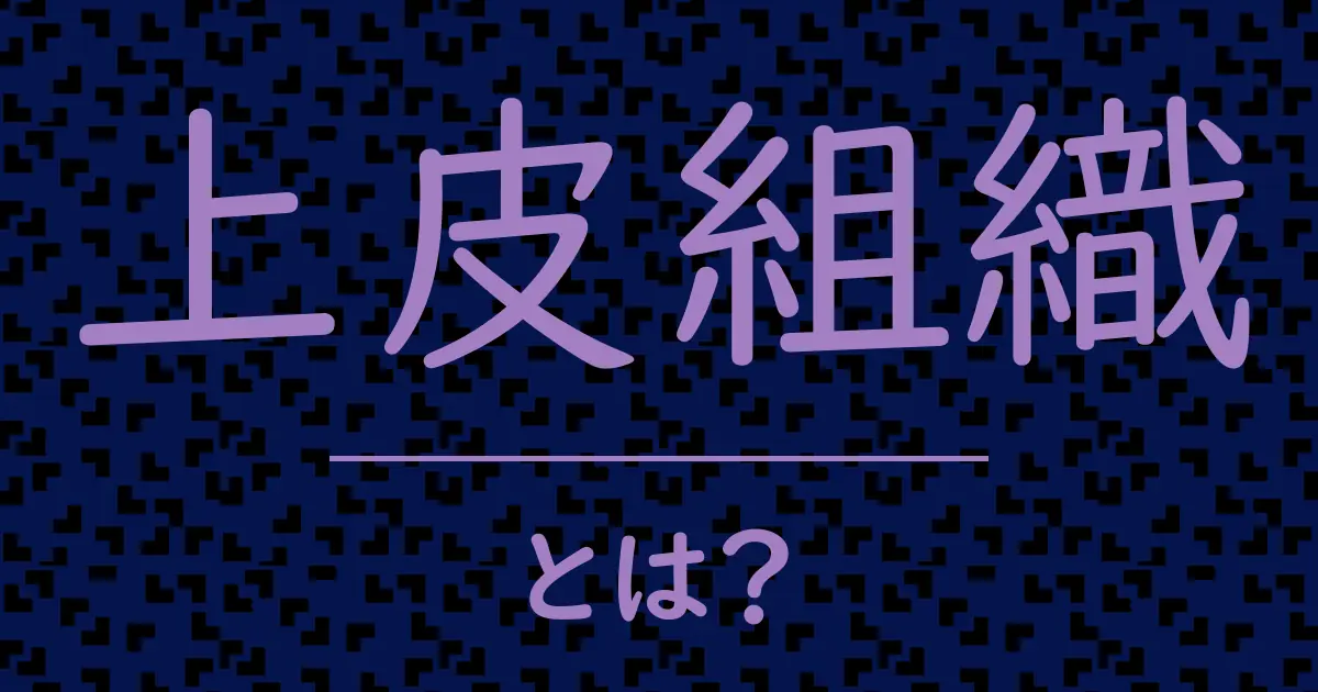 上皮組織とは?毒舌で解説!