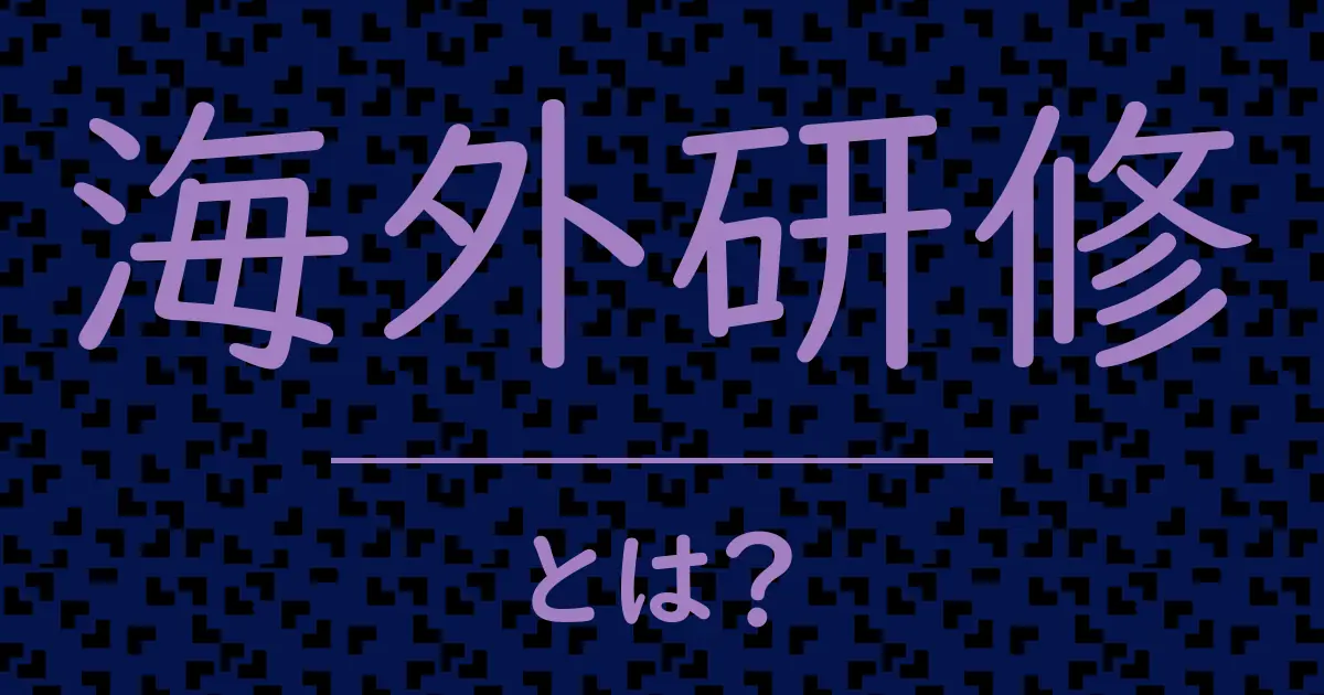 海外研修とは?毒舌で解説!