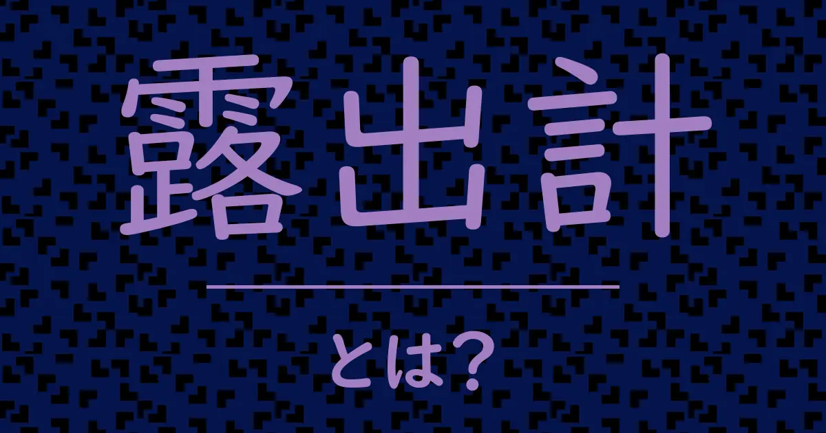 露出計とは？毒舌で解説！