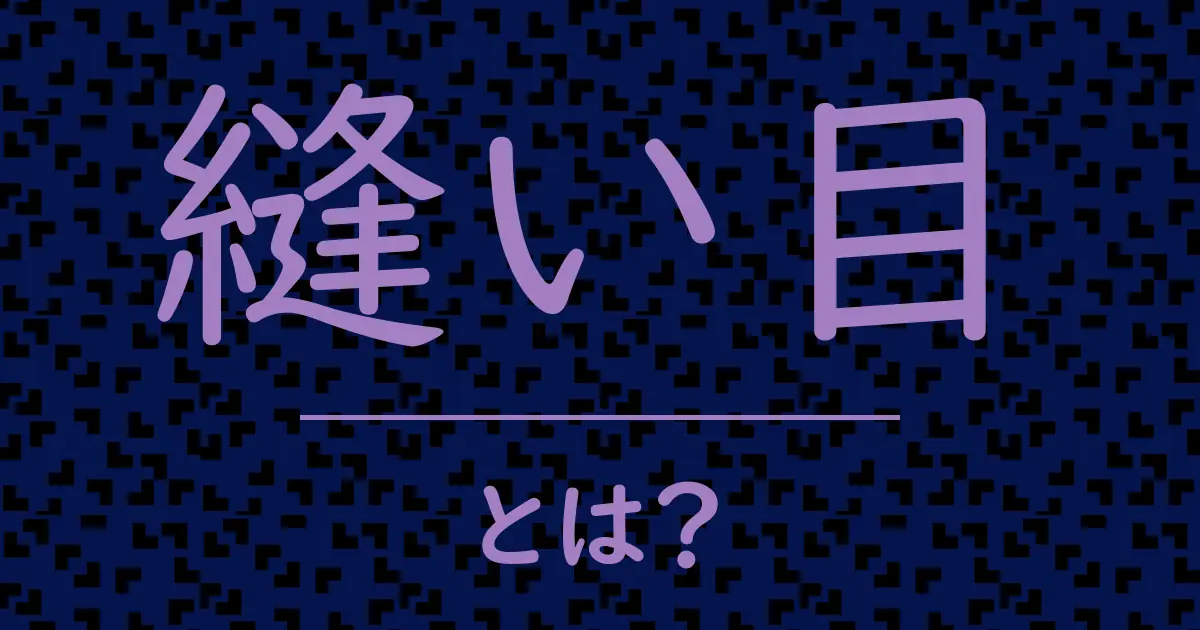縫い目とは？毒舌で解説！
