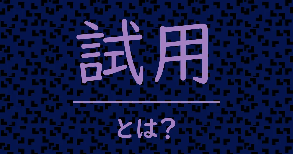 試用とは?毒舌で解説!