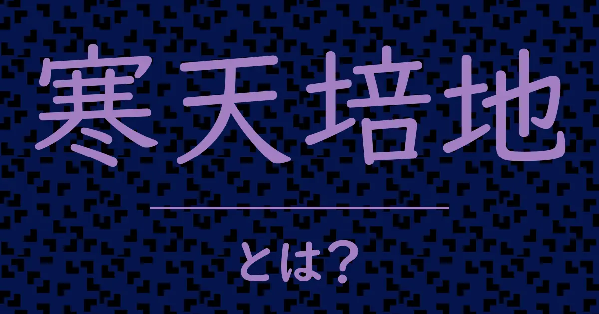 寒天培地とは?毒舌で解説!