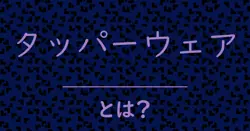 タッパーウェアとは?毒舌で解説!