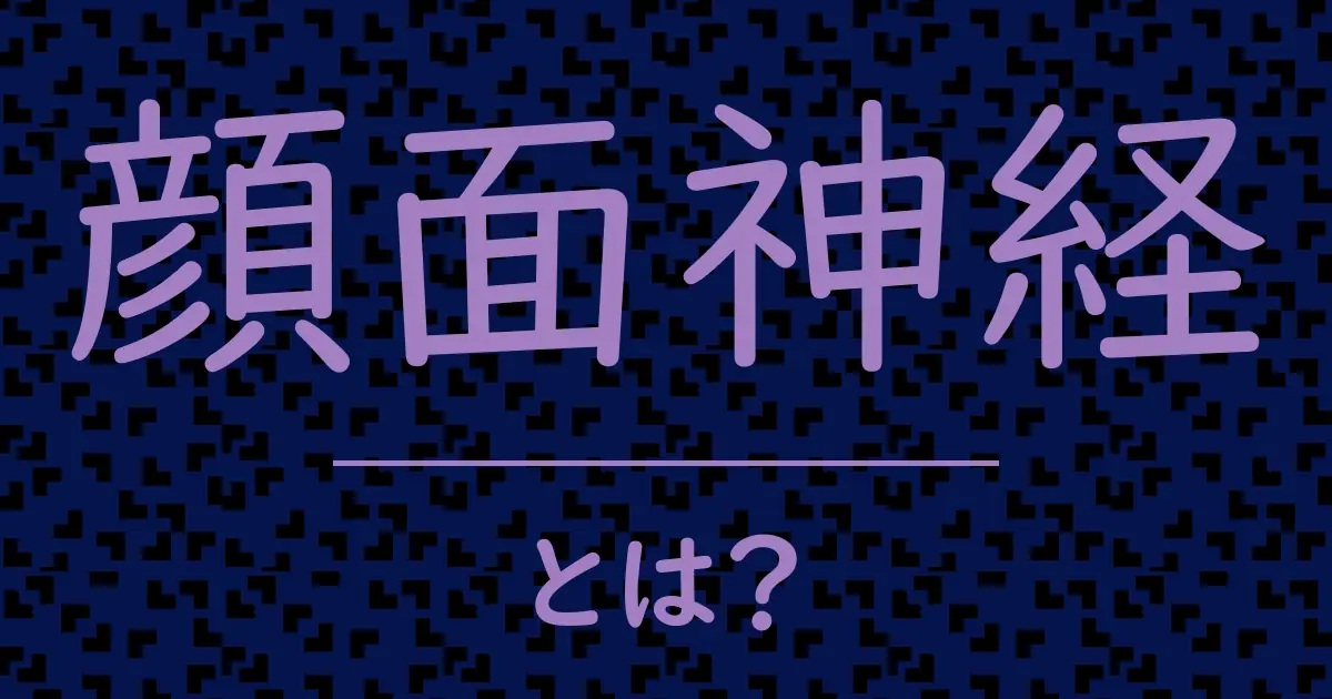 顔面神経とは?毒舌で解説!