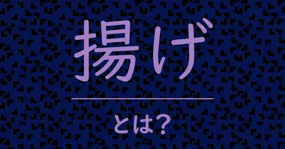 揚げとは？毒舌で解説！