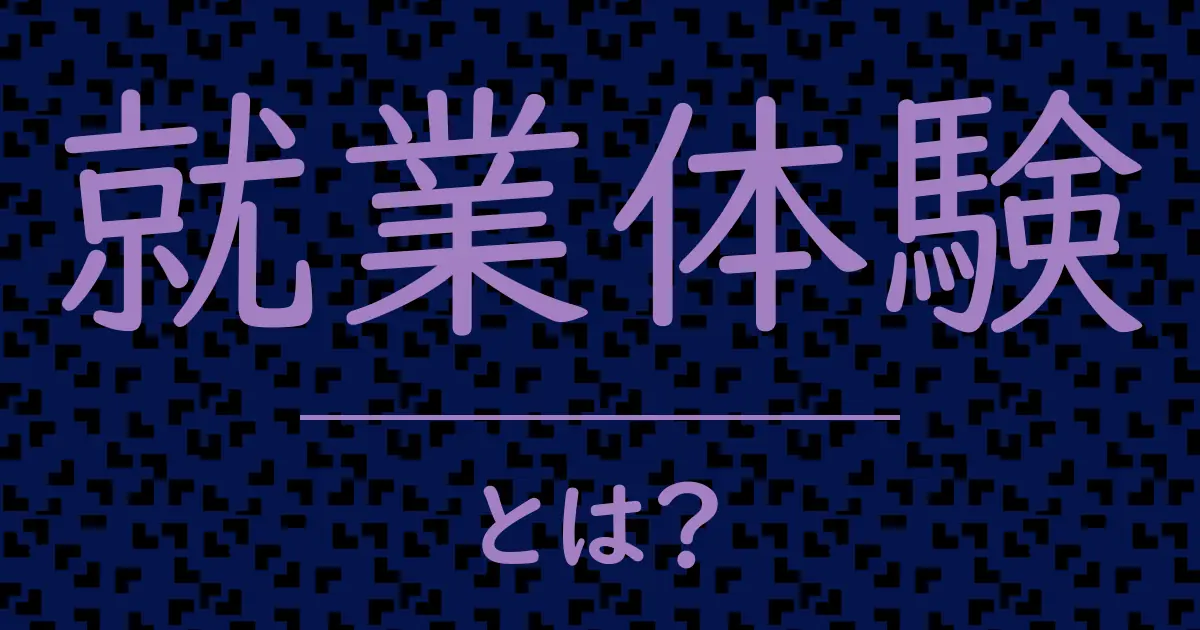 就業体験とは?毒舌で解説!
