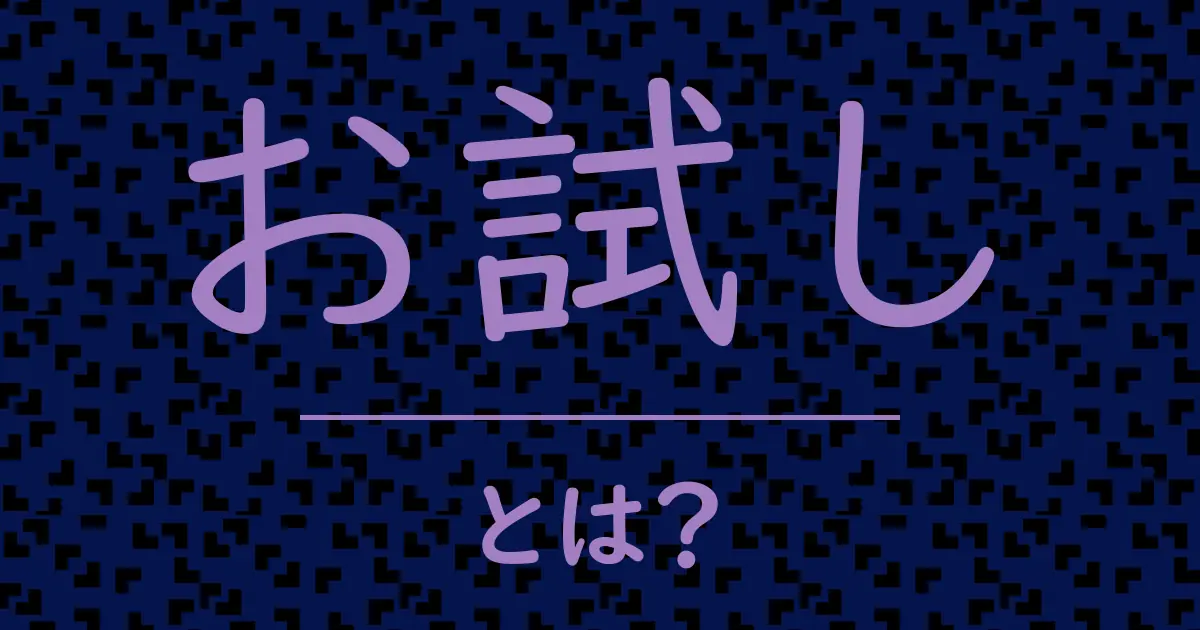 お試しとは?毒舌で解説!