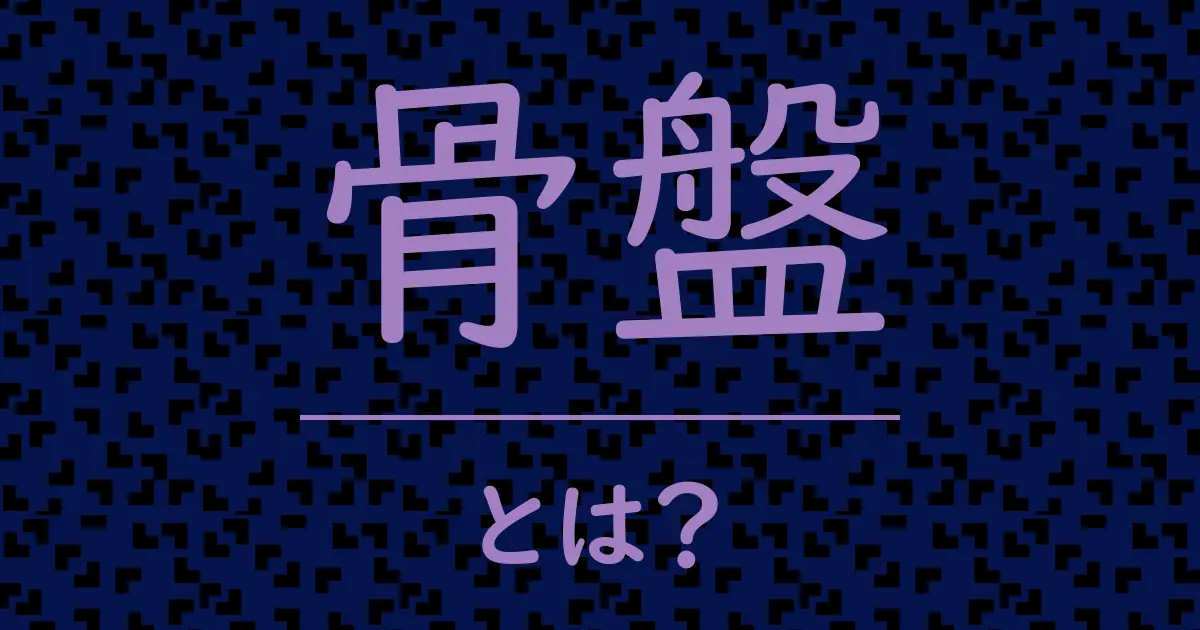 骨盤とは?毒舌で解説!
