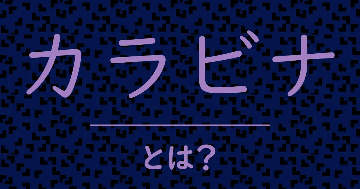 カラビナとは?毒舌で解説!