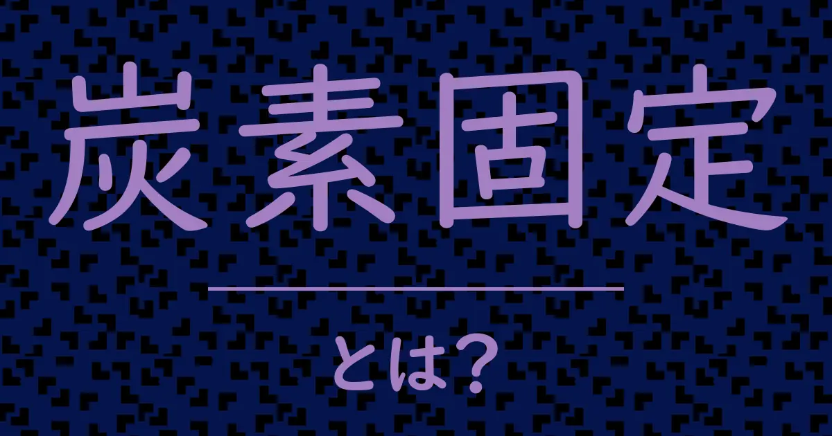 炭素固定とは？毒舌で解説！