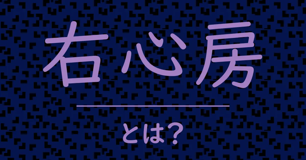 右心房とは?毒舌で解説!