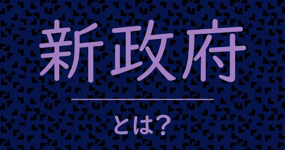 新政府とは?毒舌で解説!