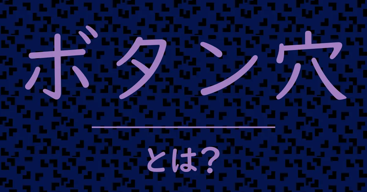 ボタン穴とは?毒舌で解説!