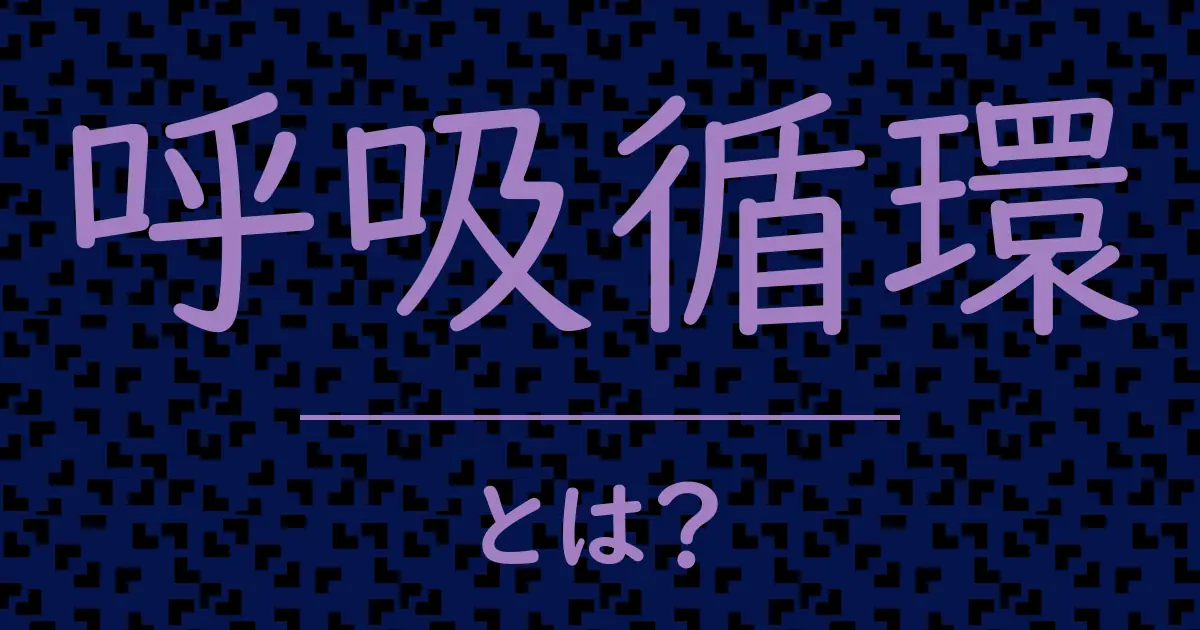 呼吸循環とは?毒舌で解説!