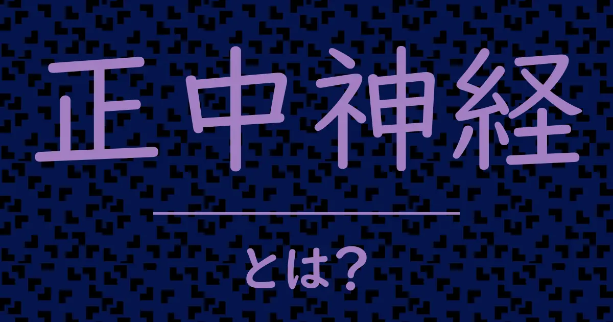 正中神経とは?毒舌で解説!