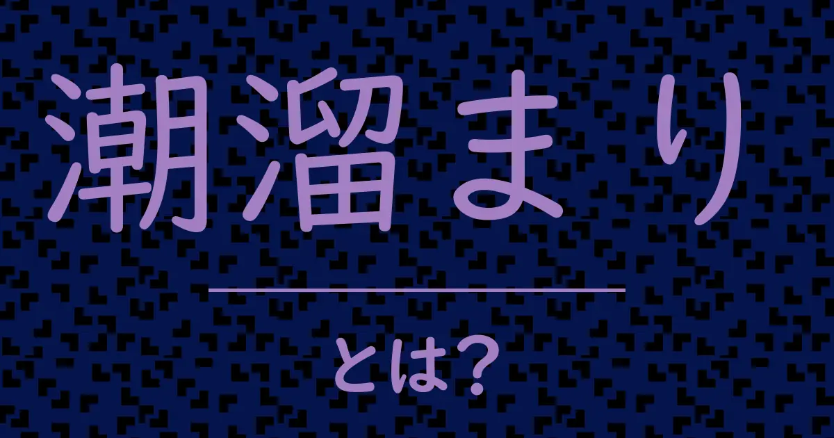 潮溜まりとは？毒舌で解説！