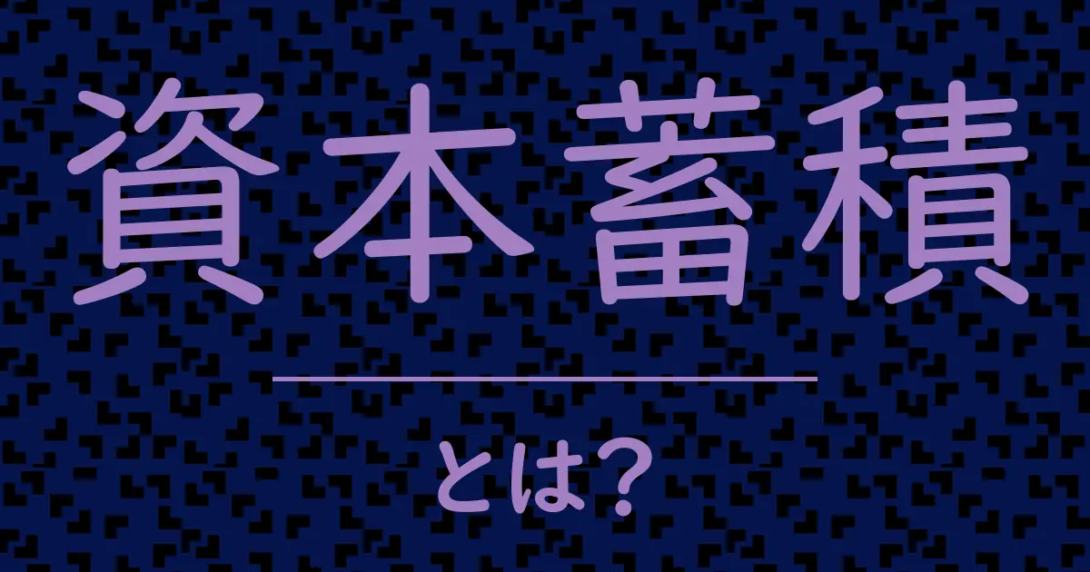 資本蓄積とは?毒舌で解説!
