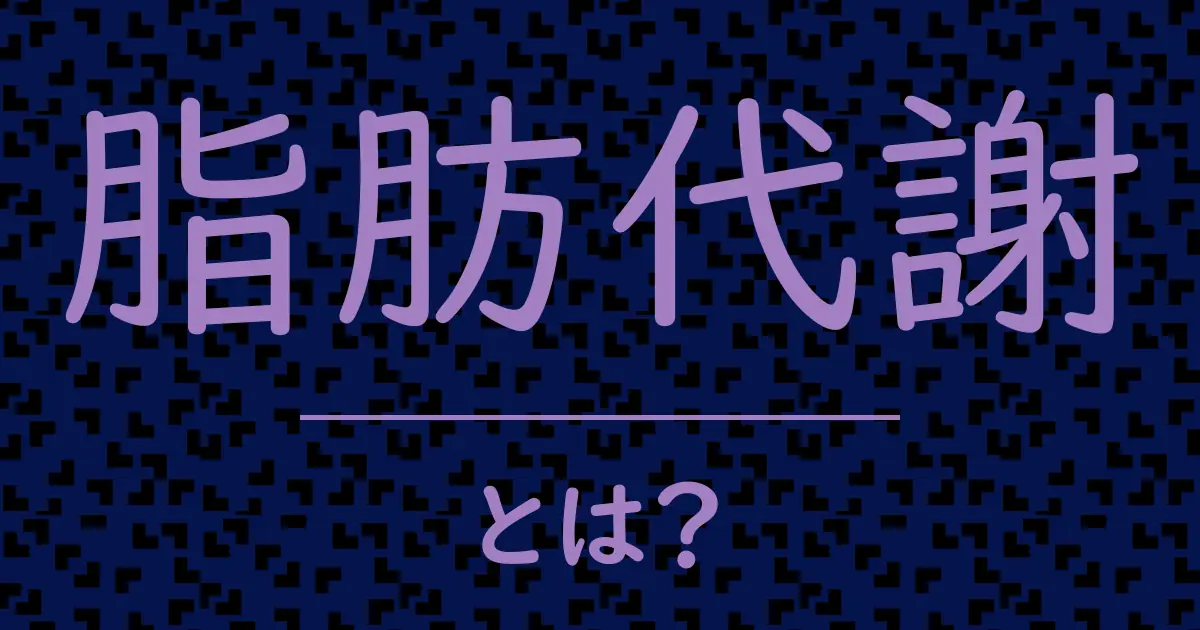 脂肪代謝とは?毒舌で解説!
