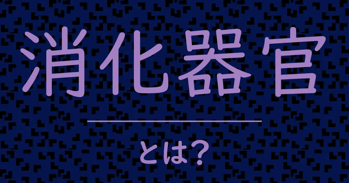 消化器官とは?毒舌で解説!