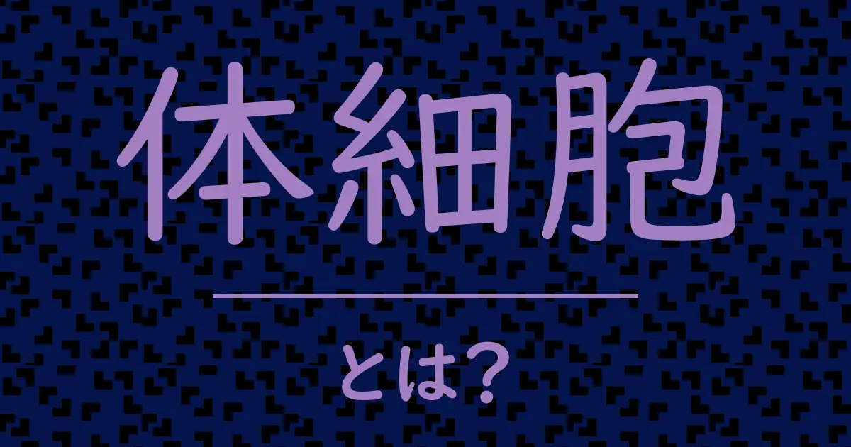 体細胞とは?毒舌で解説!