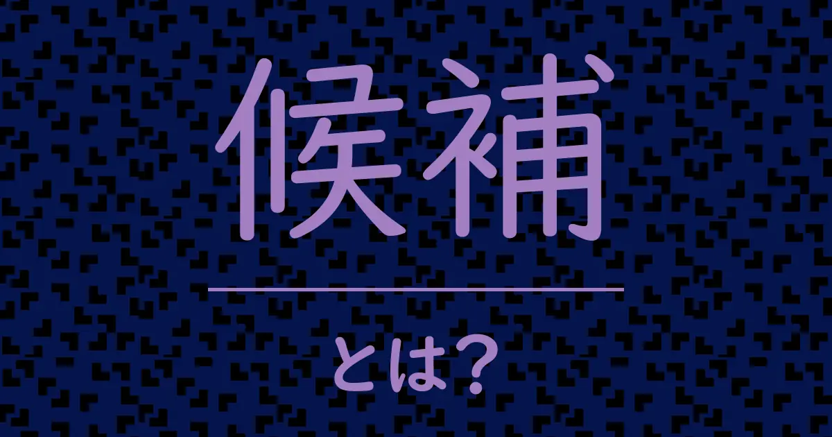 候補とは？毒舌で解説！
