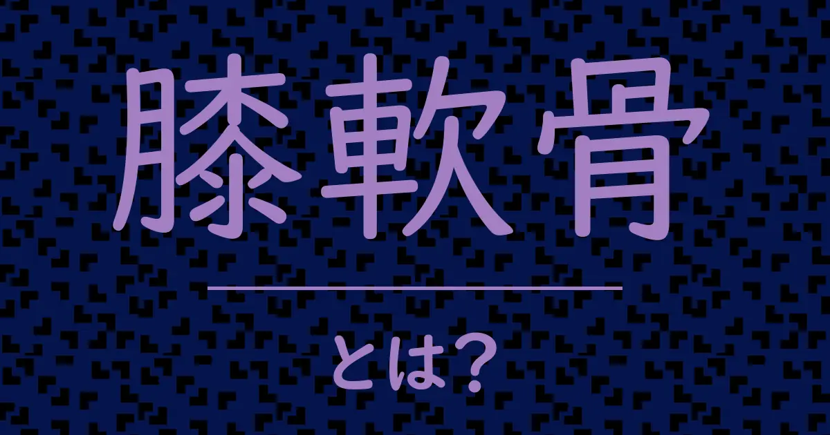 膝軟骨とは?毒舌で解説!