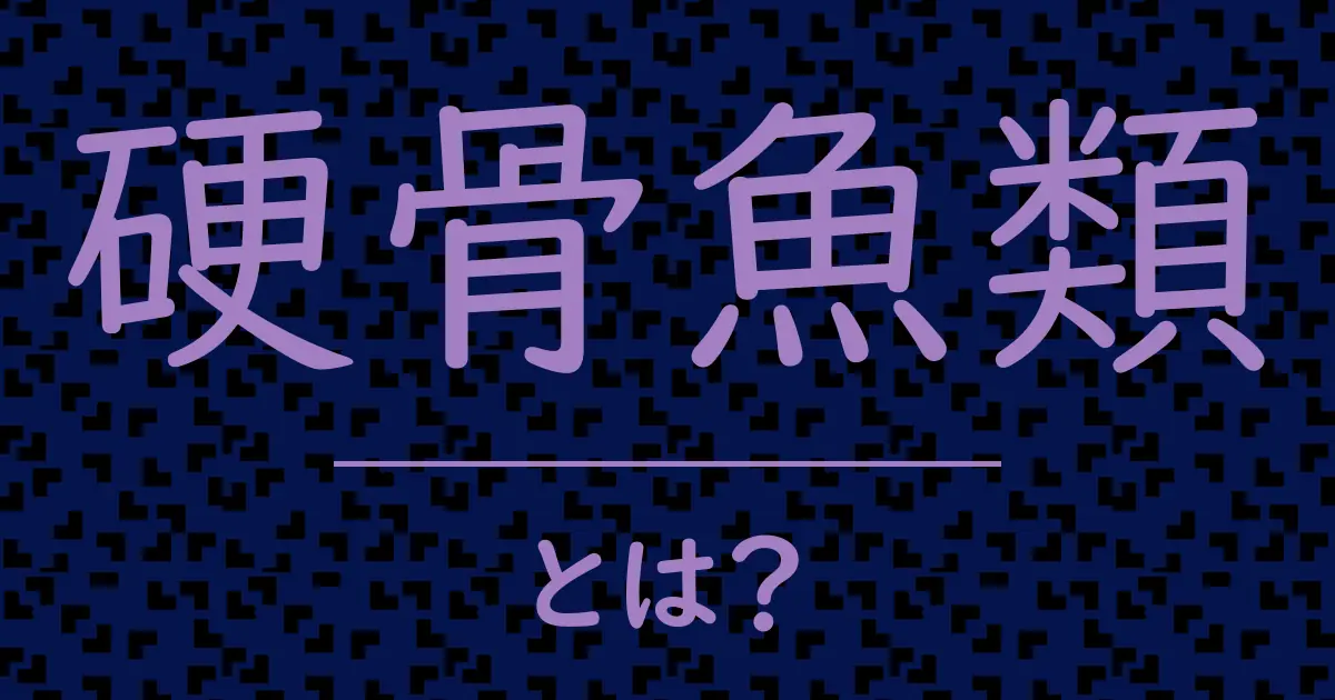 硬骨魚類とは?毒舌で解説!
