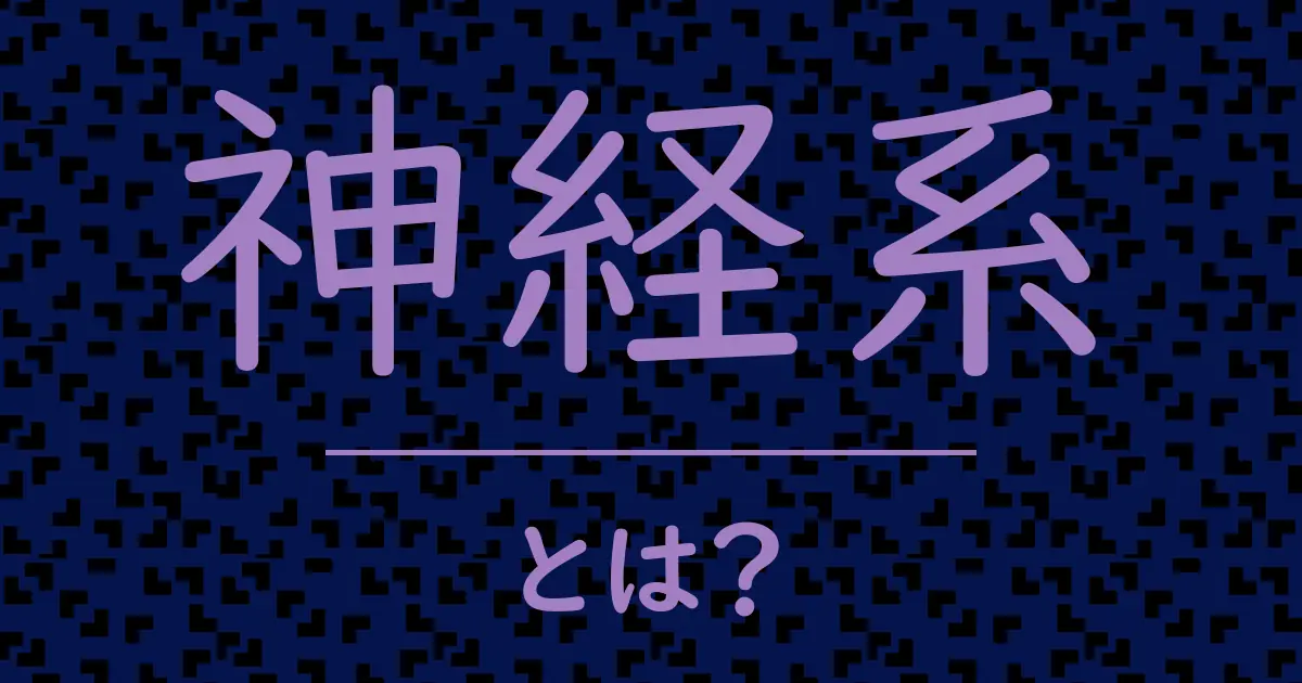 神経系とは?毒舌で解説!