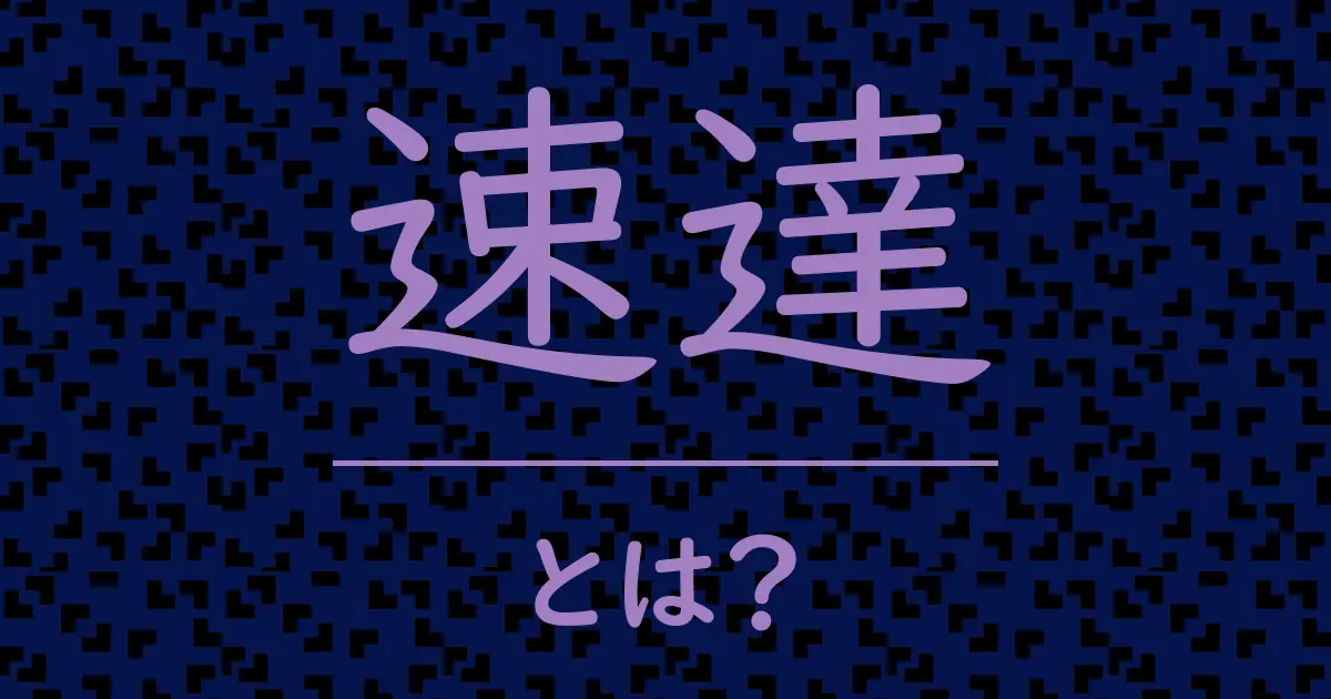 速達とは？毒舌で解説！