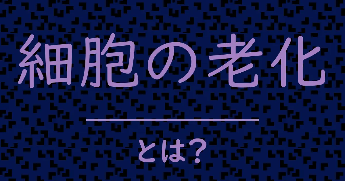 細胞の老化とは?毒舌で解説!