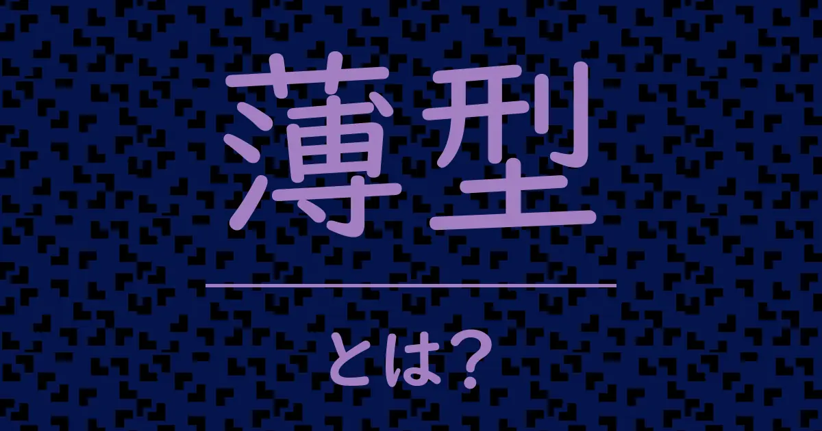 薄型とは?毒舌で解説!