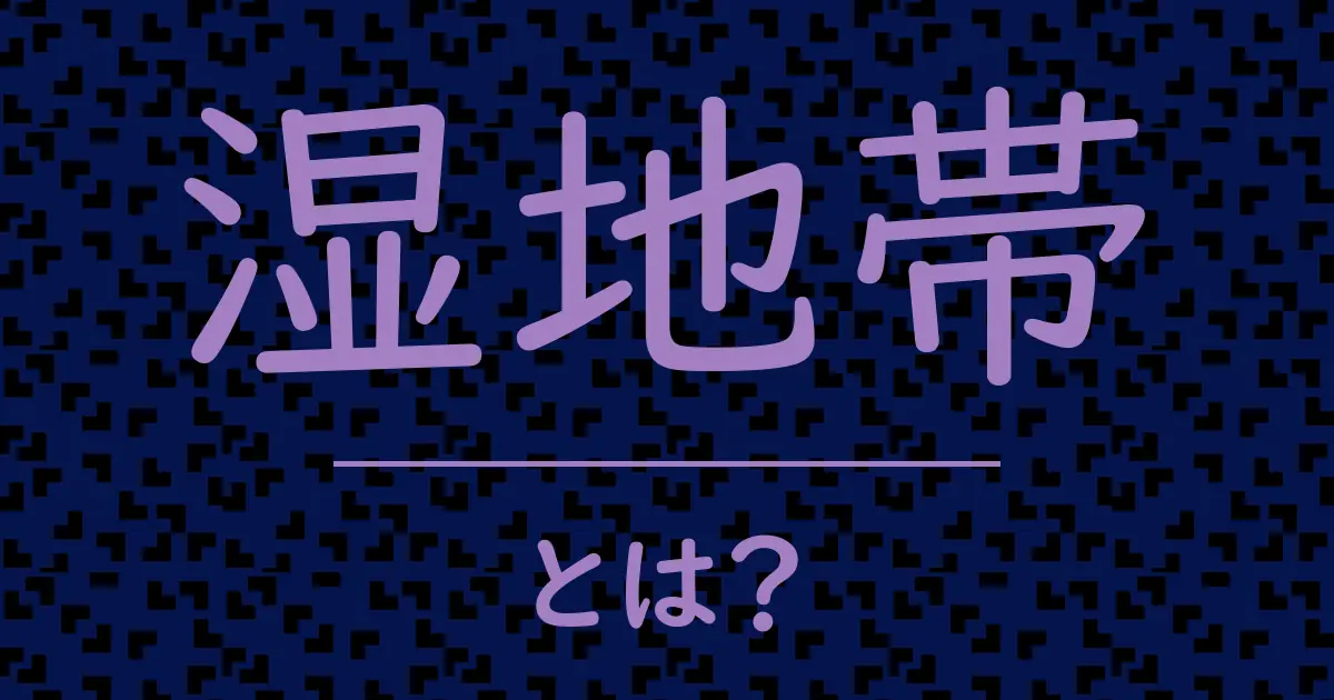 湿地帯とは?毒舌で解説!