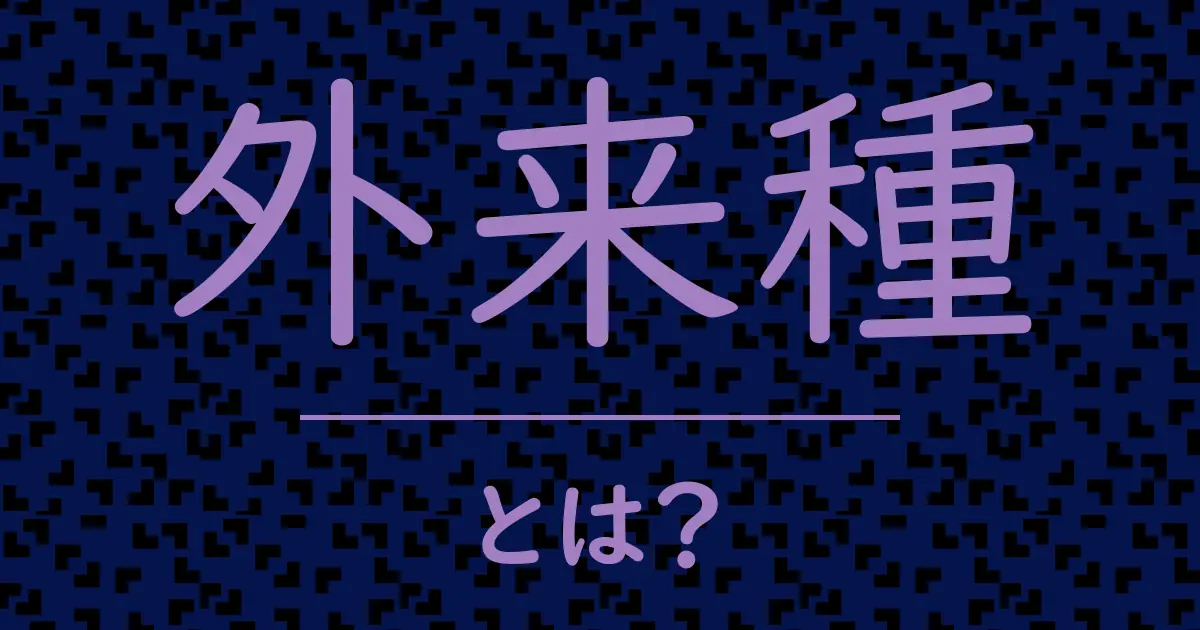 外来種とは?毒舌で解説!