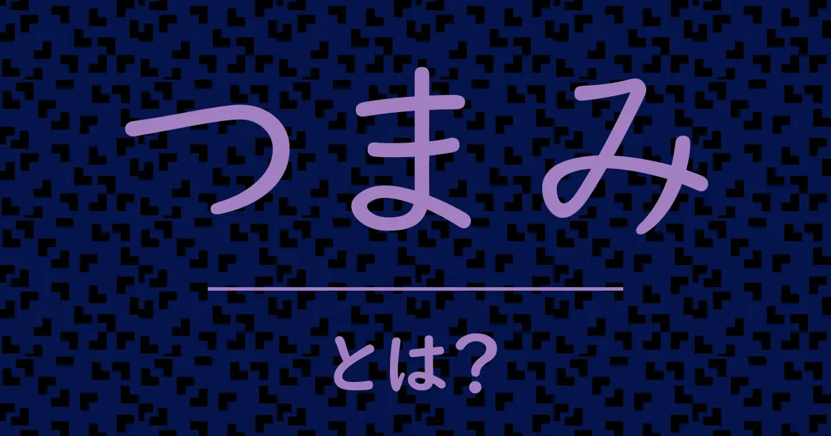 つまみとは？毒舌で解説！