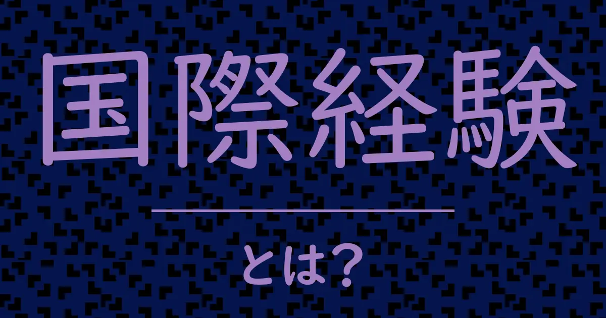 国際経験とは?毒舌で解説!