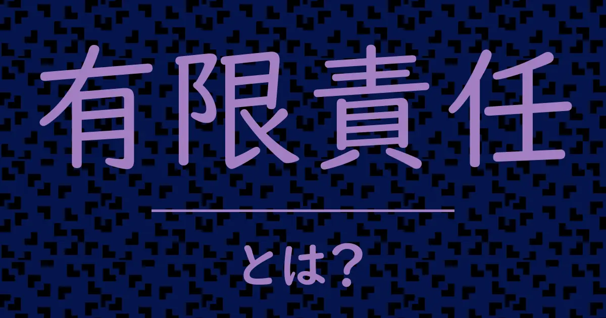 有限責任とは?毒舌で解説!