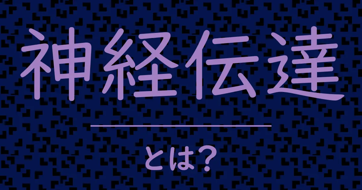 神経伝達とは?毒舌で解説!